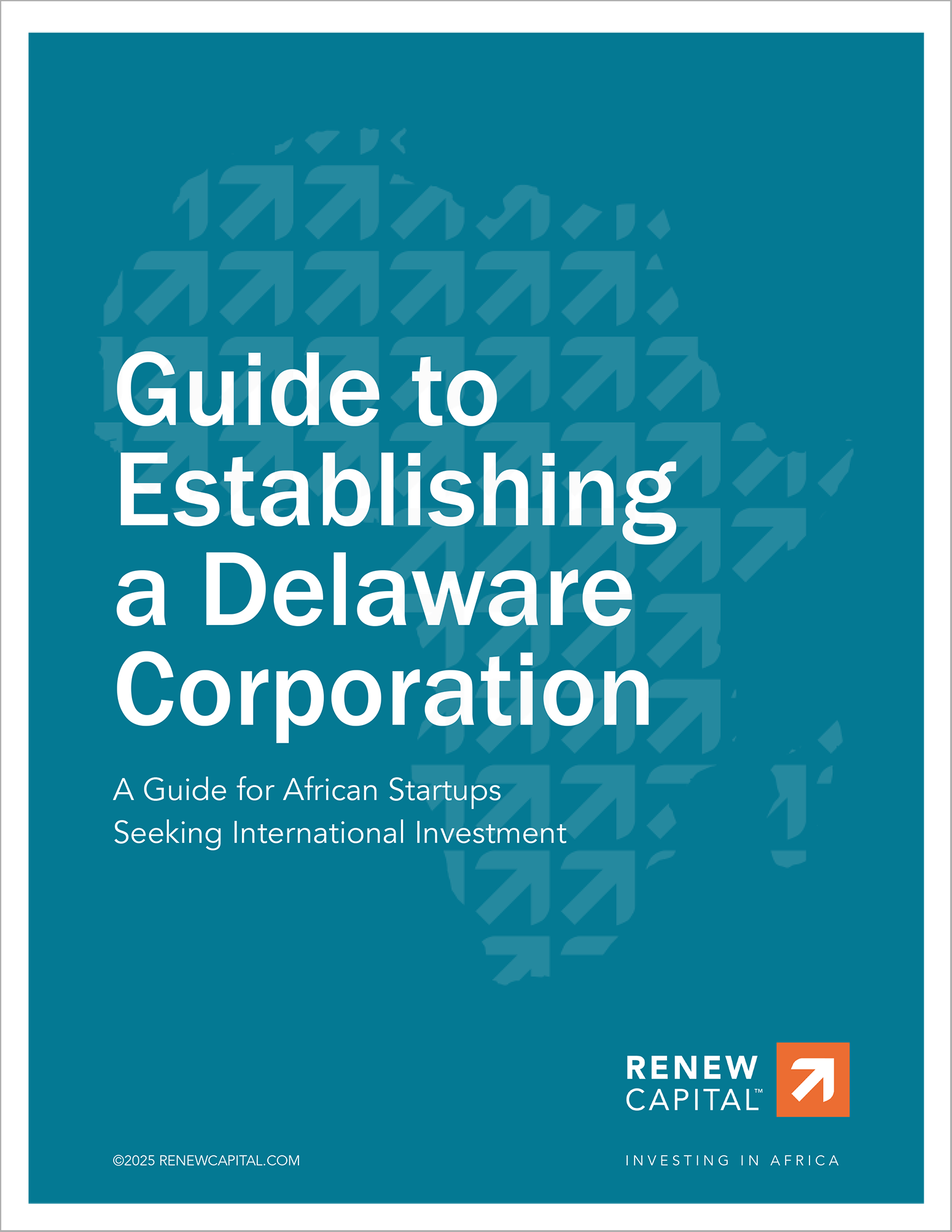 Guide-to-Establishing-a-Delaware-Corporation-cover